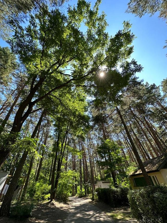 Summer House Lubniewice Esterno foto